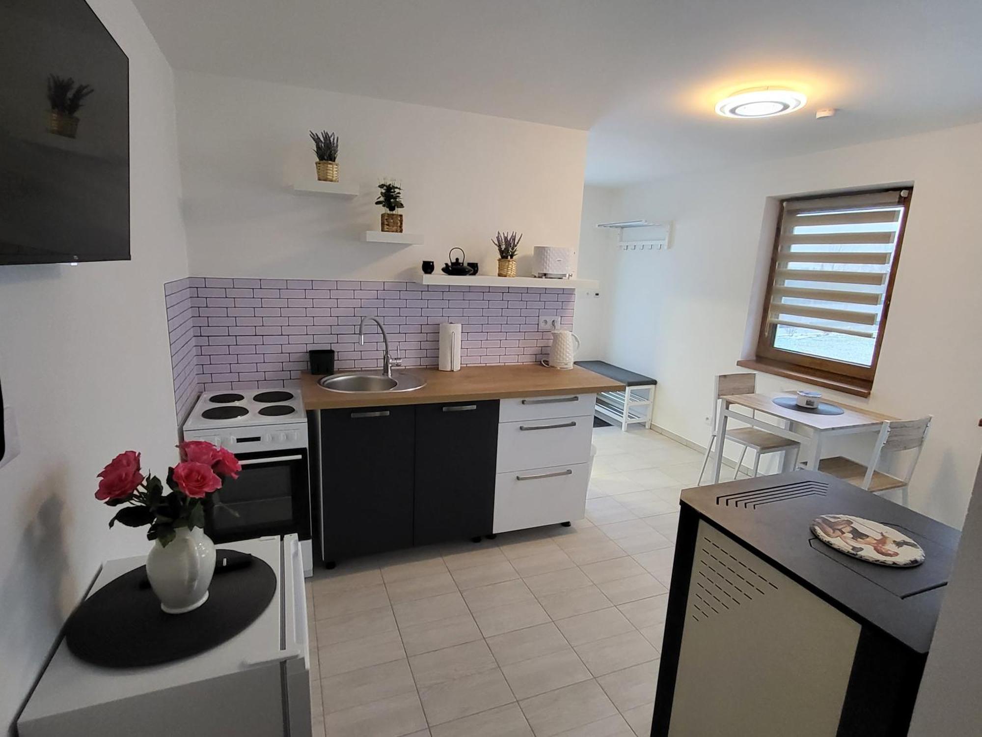 Apartman Na Karlicku Karlov  Εξωτερικό φωτογραφία